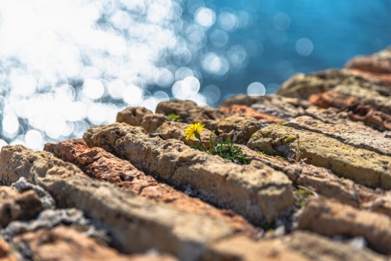 Sparkling Splendor: The Glitter Mountain Phenomenon