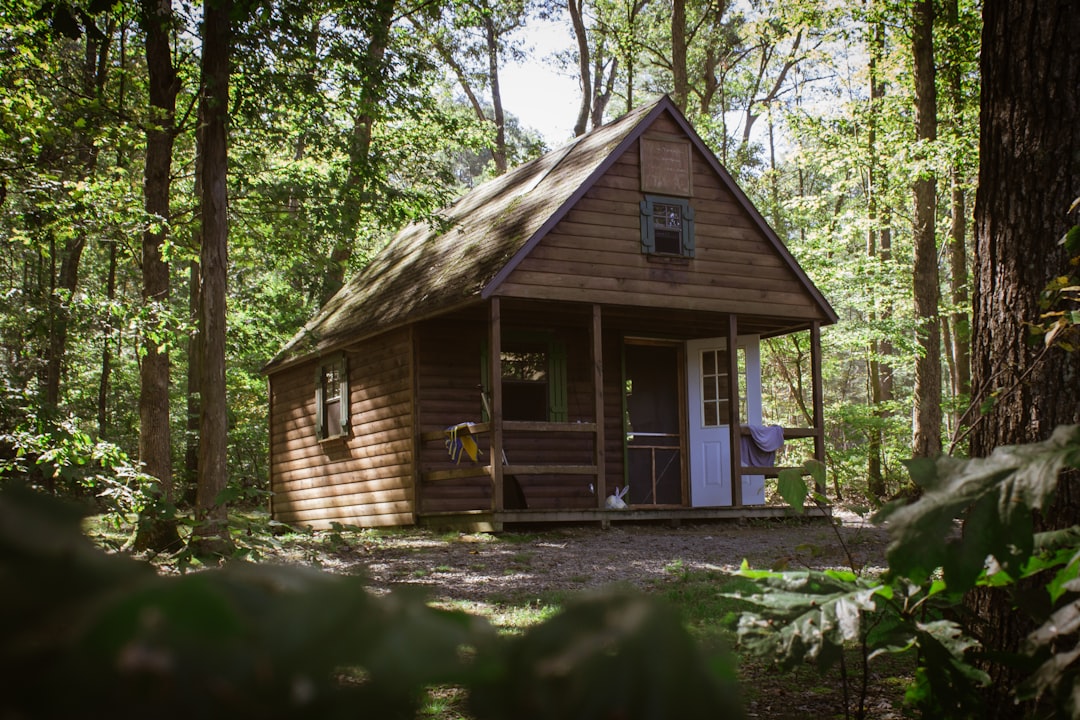 Photo Cabin, Auction